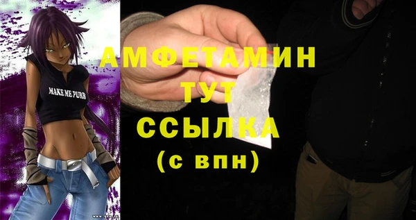 прущая мука Няндома
