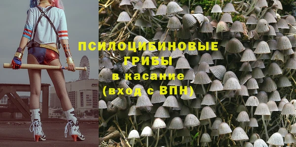 марки lsd Нязепетровск